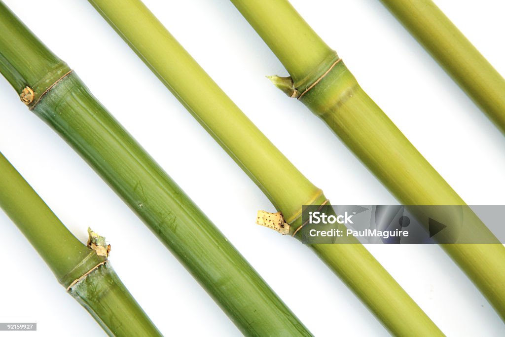 Bambu diagonal - Foto de stock de Abstrato royalty-free