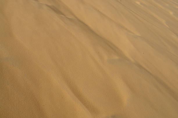 a areia - dusk shadow dry sandbar - fotografias e filmes do acervo