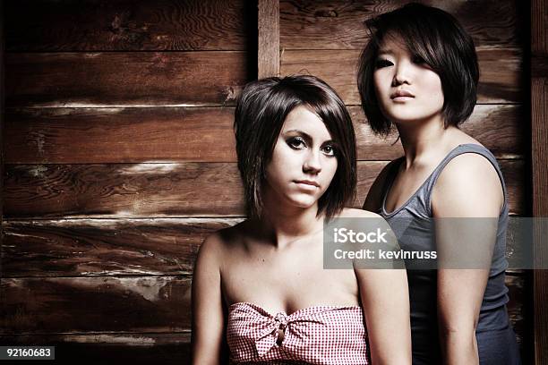 Dos Mujeres Jóvenes En La Antigua Barn Foto de stock y más banco de imágenes de A la moda - A la moda, Adolescente, Adulto