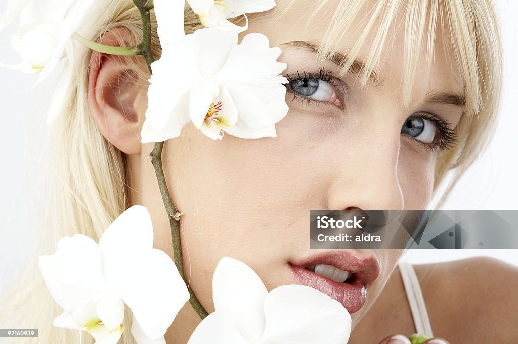 Orchid portrait  Color Image Stock Photo