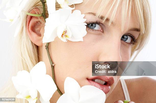 Orchid Portrait Stock Photo - Download Image Now - Color Image, Horizontal, No People