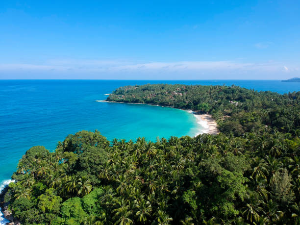 istock Aerial image of tropical beach 921612054