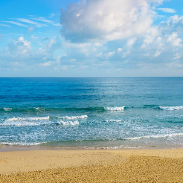 istock Deserted sandy beach of the Indian Ocean. 921618108