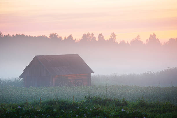 Hut in the fog stock photo