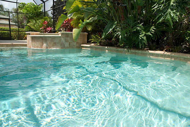 bain à remous de la piscine - tropical climate waterfall formal garden ornamental garden photos et images de collection