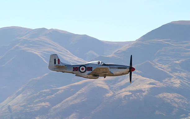 P 51 Mustang fighter plane  p51 mustang stock pictures, royalty-free photos & images