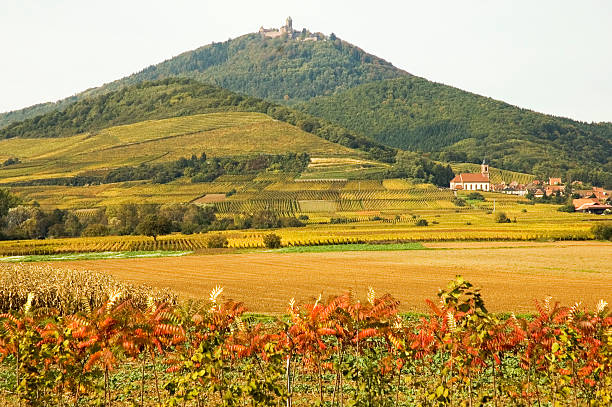 アルザスの風景 - koenigsburg ストックフォトと画像