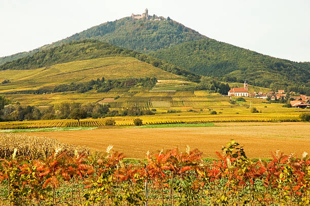 Alsace landscape stock photo