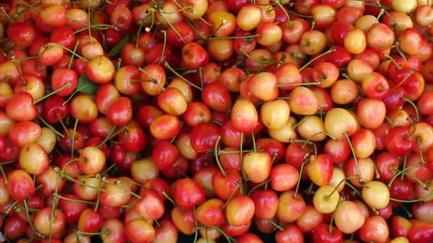 cherries display on a Greek market