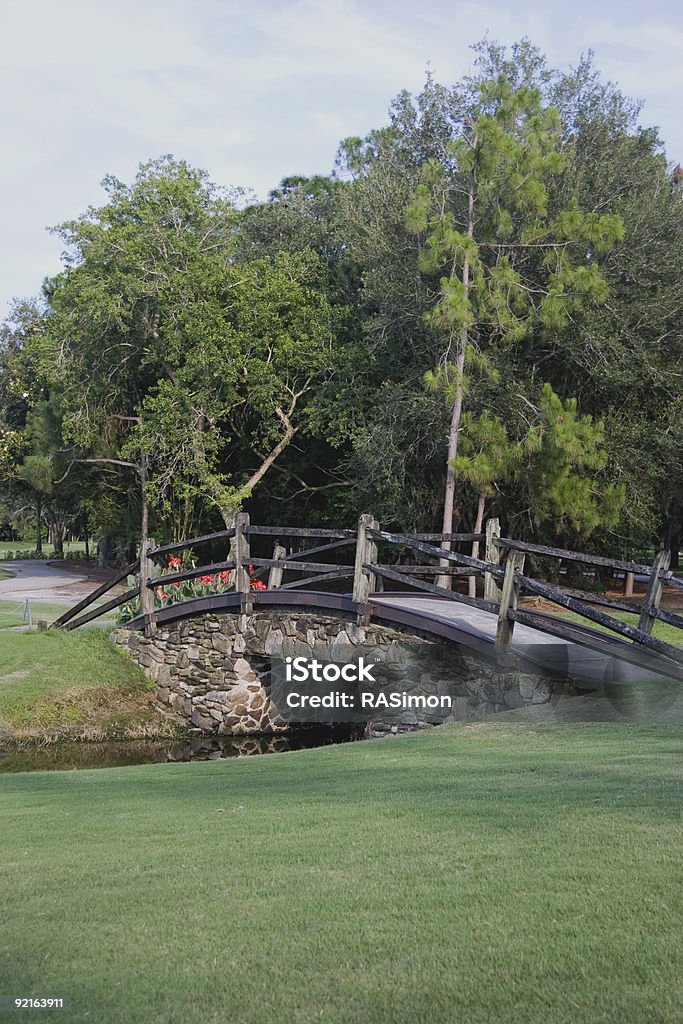 Einkaufswagen-Brücke - Lizenzfrei Bach Stock-Foto