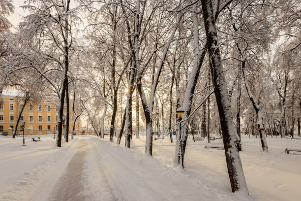 istock Winter park with trees covered with snow. 921643454