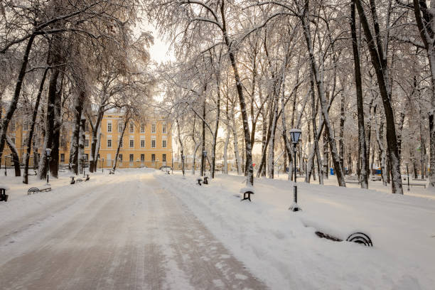 istock Winter park with trees covered with snow. 921643504