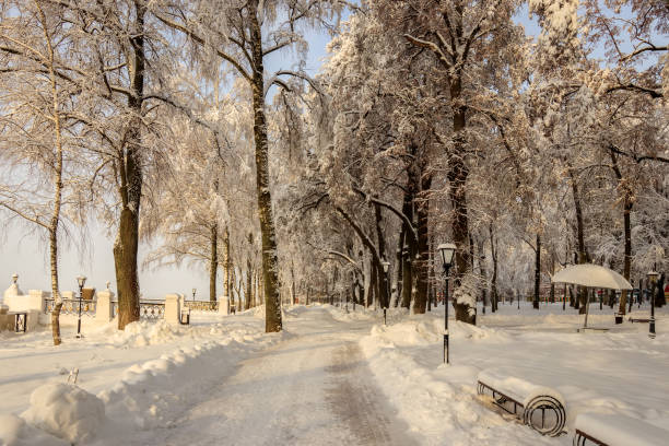 istock Winter park with trees covered with snow. 921643572
