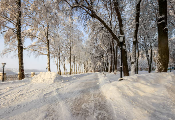 istock Winter park with trees covered with snow. 921643598