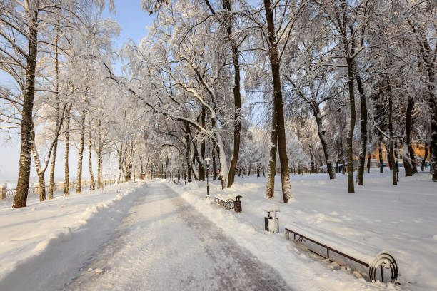 istock Winter park with trees covered with snow. 921643606