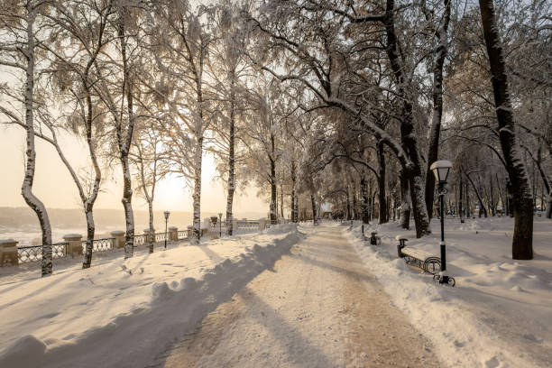 istock Sunset in winter park with trees covered with snow. 921643608