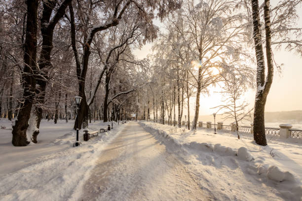 istock Sunrise in winter park with trees covered with snow. 921643622