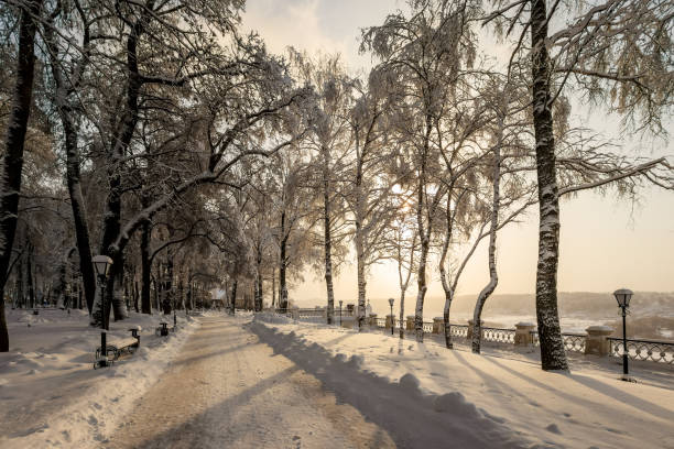 istock Sunrise in winter park with trees covered with snow. 921643624
