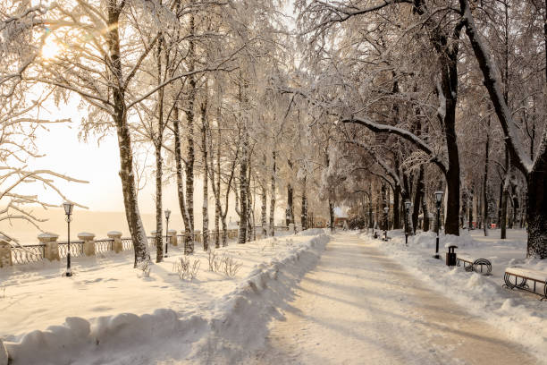 istock Sunset in winter park with trees covered with snow. 921643646