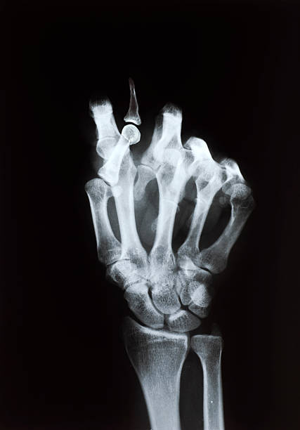 1,200+ Nah Nah Stock Photos, Pictures & RoyaltyFree Images iStock