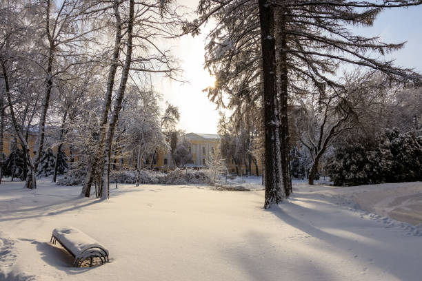 istock Winter park with trees covered with snow. 921653094