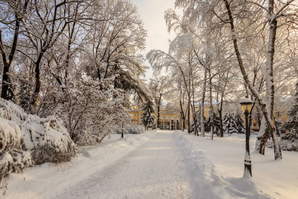 istock Winter park with trees covered with snow. 921653122