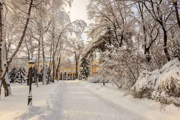 istock Winter park with trees covered with snow. 921653126