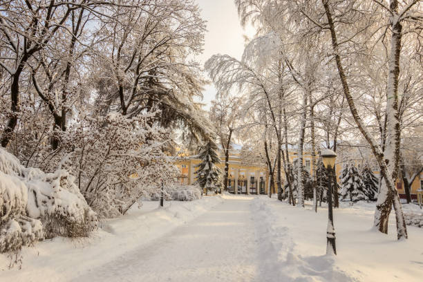 istock Winter park with trees covered with snow. 921653142