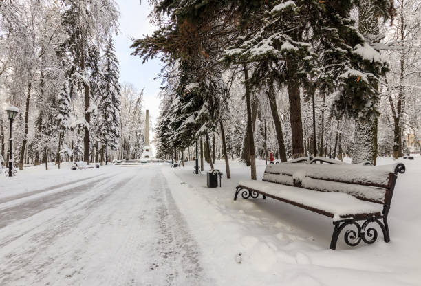 istock Winter park with trees covered with snow. 921653282