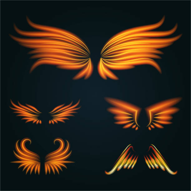 istock Bird fire wings vector fantasy feather burning fly mystic glow fiery burn hot art wings illustration on black 921654408