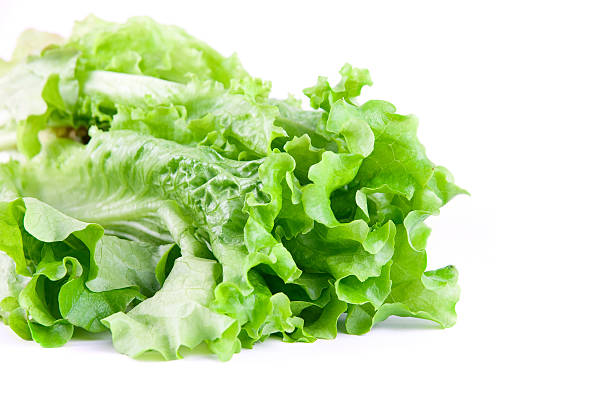 istock Close-up of Green Lettuce 92165448