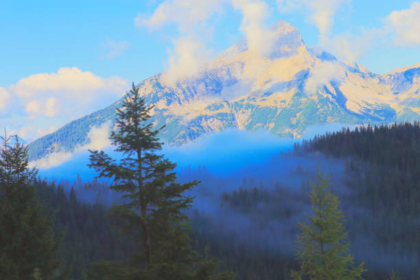 alpes bávaros y bosques de pino en el brumoso amanecer, garmisch - alemania - waxenstein fotografías e imágenes de stock