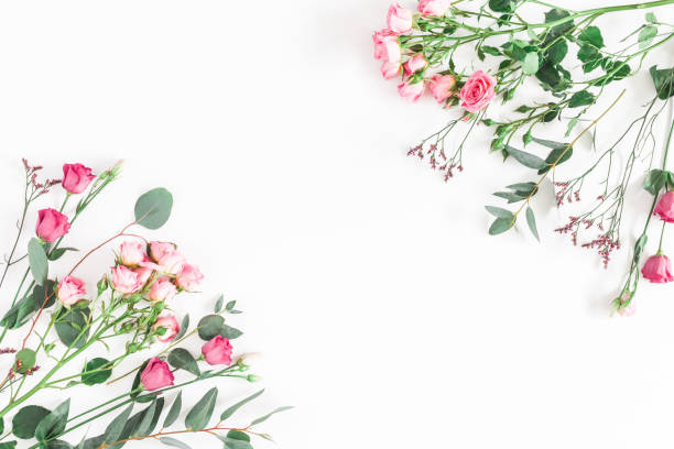 istock Pink flowers and eucalyptus branches. Flat lay, top view 921661238