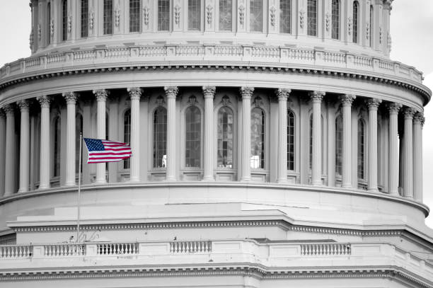 istock Capitol Dome Black and White Flag in Color 92166204