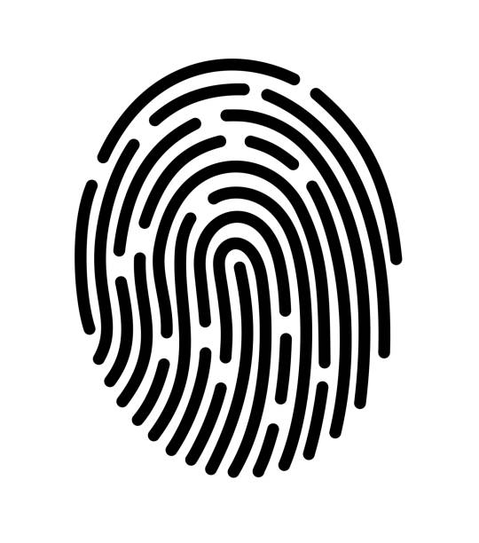 지문 인식 위한 모바일 응용 프로그램 - fingerprint thumbprint biometrics human thumb stock illustrations