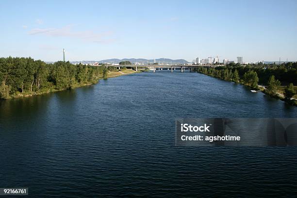 Rzeka Dunaj W Wiedniu - zdjęcia stockowe i więcej obrazów Austria - Austria, Bez ludzi, Bezchmurne niebo
