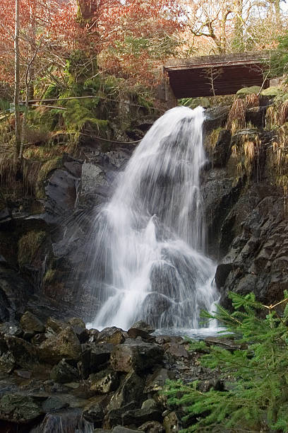 Waterfall stock photo
