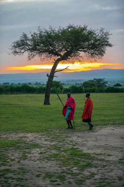 African Masai Warriors at Sunrise with Acacia Tree