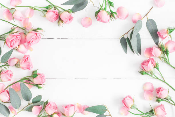 istock Rose flowers on white wooden background. Flat lay, top view 921668042