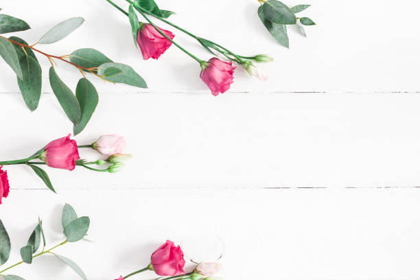 istock Pink flowers and eucalyptus branches. Flat lay, top view 921668090