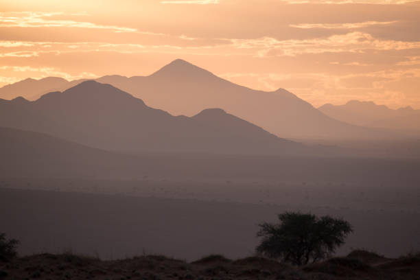istock Namib Rand Nature Reserve, Namibia 921671316