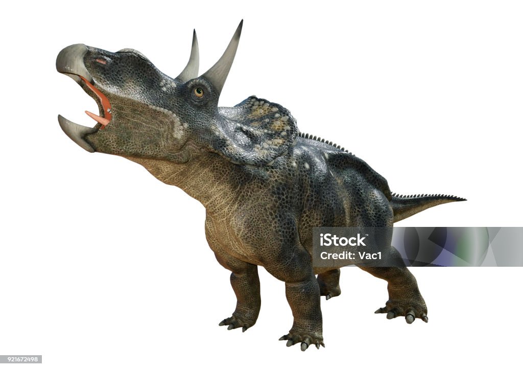 Dinosaures 3D rendering Diceratops sur blanc - Photo de Dinosaure libre de droits