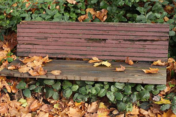 istock Old Park Bench with Autumn Leaves in British Columbia, Canada 92167477