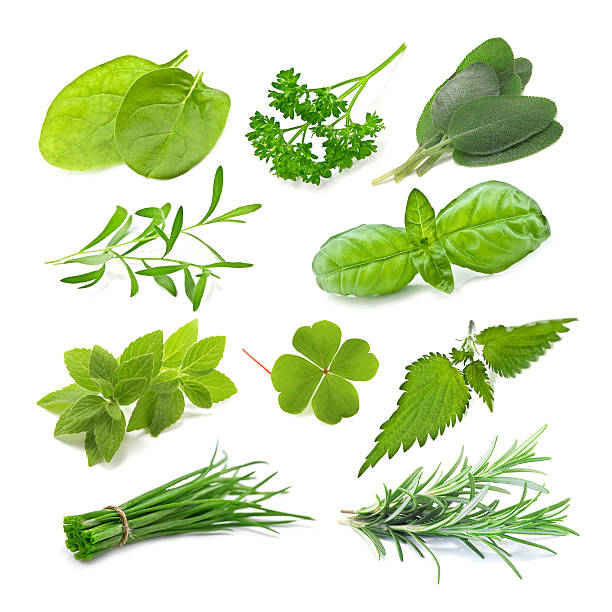 istock A photograph of multiple herbs 92167581