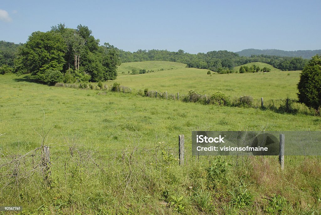 Pastagens Rural no centro de Tennessee - Royalty-free Tennessee Foto de stock