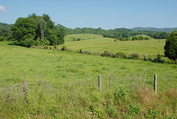 rural pastagens no centro de tennessee - cumberland plateau - fotografias e filmes do acervo