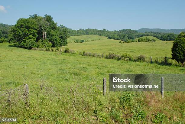 Pastagens Rural No Centro De Tennessee - Fotografias de stock e mais imagens de Tennessee - Tennessee, Knoxville, Paisagem Ondulada