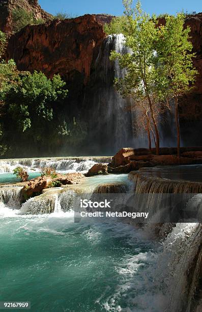 Foto de Cachoeira Havasu e mais fotos de stock de Cascata - Cascata, América do Norte, Arizona