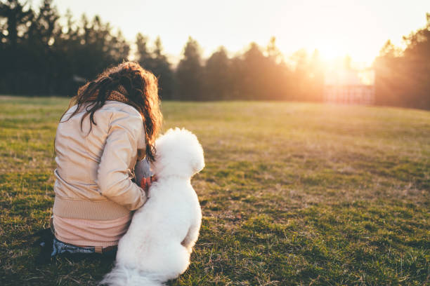 istock Enjoying sunset with my dog 921681550