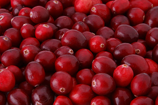 Pile of Cranberries stock photo